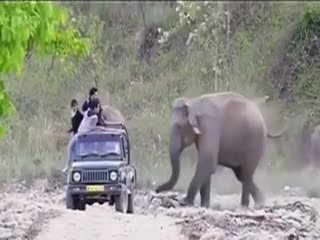 Испугались?