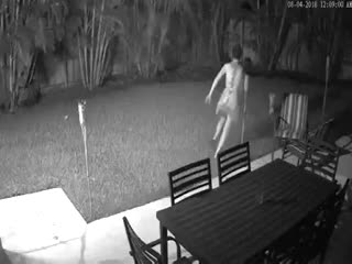 Ночная борьба с енотом