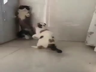 Прости, любимая, это больше не повторится!