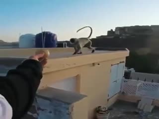 Сама виновата