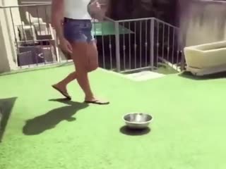 Отбей мячик