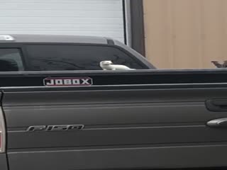 Красотулькин