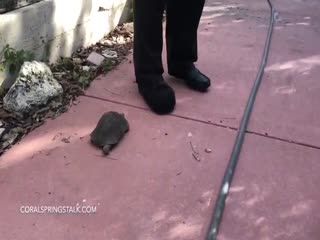 Пошел отсюда, дылда!