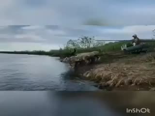 Чукотский Дед мороз...