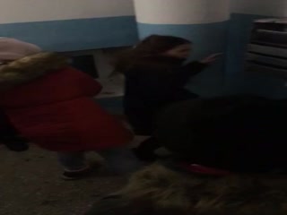 Гопница Влада