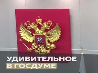 Удивительное в госдуме