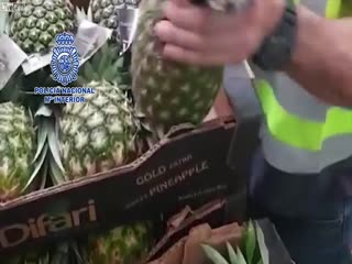 Почти тонну кокаиновых ананасов изъяли в Испании
