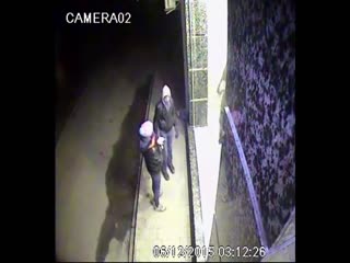 Вороватая парочка