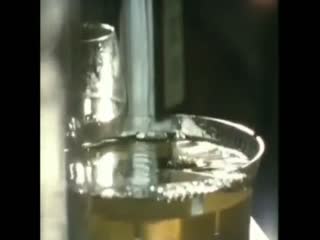 Лучшая в мире работа