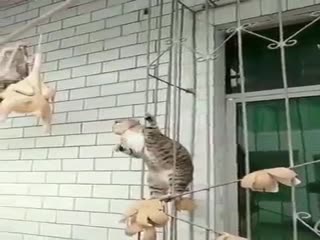 А счастье было так рядом...