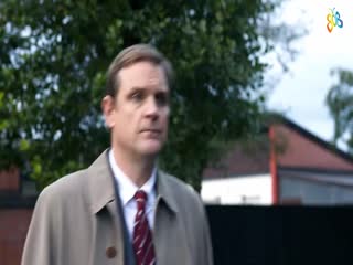 Скоро год свиньи!