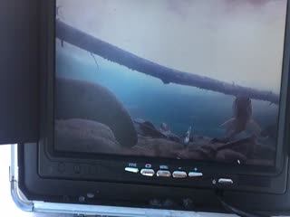 Ловля рыбы на телевизор. Как это происходит?