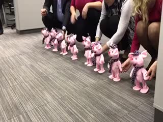 Весёлый забег