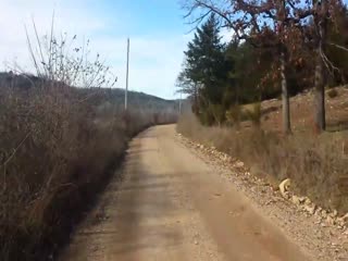 Беги, Форрест, беги!