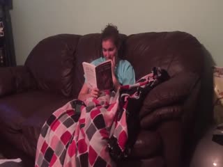 Если у вас дома живет лиса