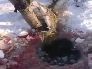 Поймали браконьерскую сеть