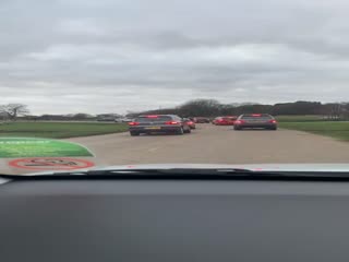 Верблюды сбежали из сафари-парка