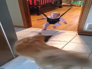 Собака учит ребенка прыгать