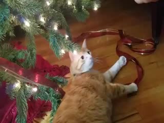 Когда надоели новогодние праздники