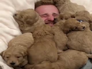 Это счастье!