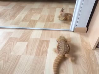 Ты кто такой?