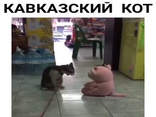 Трёх очковый бросок