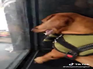 А вот это видел?