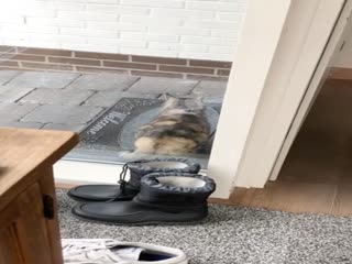 Эй, ну вы что, оглохли там все?!