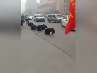 Модная китайская тенденция.