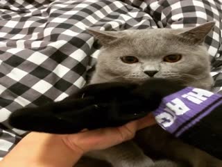 Это было жестоко