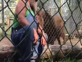 Хозяин вольера