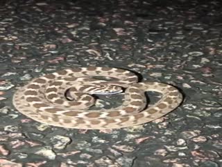 Имитация угрозы