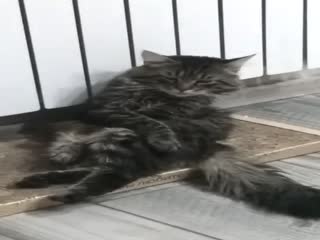 Не мешайте мне жить