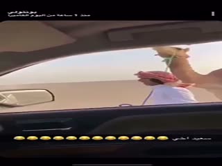 Сильный верблюд