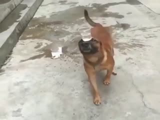 Вот это мастерство!