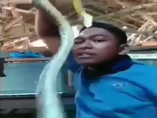 Змея укусила парня во время селфи