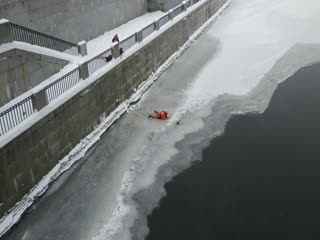 На Обводном канале петербуржцы спасли утку, вмерзшую в лед