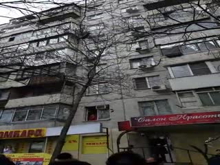 Ловите, ловите: в Ростове на видео попал момент спасения кошки, падающей с дерева