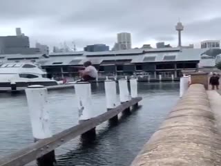 Неудачный прыжок