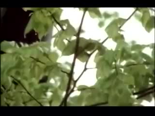 Ностальгия!