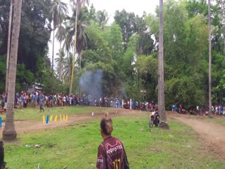 Понаставили, понимаешь,пальм