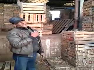 Номинант на премию Дарвина