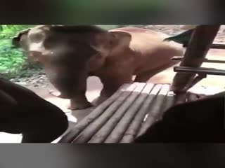 Никто не любит фамильярности