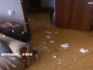 Всё запенил