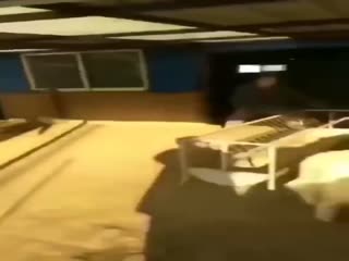 Овцы мастера кунг-фу