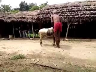 Дед против барана