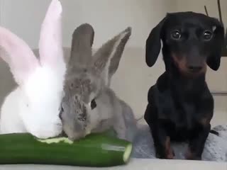 Пришел в гости