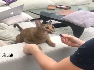 Красота - страшная сила!