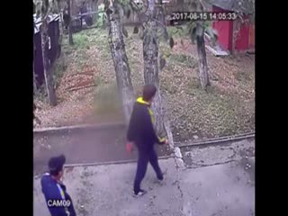 Медведь оставил гостя без верхней кончности