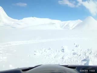 Медведь на острове Курильской гряды Парамушир